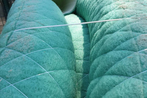 Bormeg Plastik Hakkında